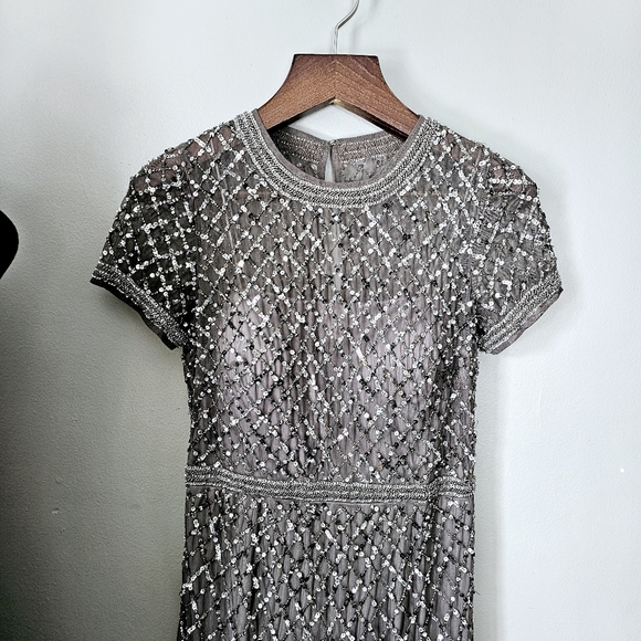 Adrianna Papell 6 Elegant beaded lead Gray Evening Gown - Picture 3 of 13